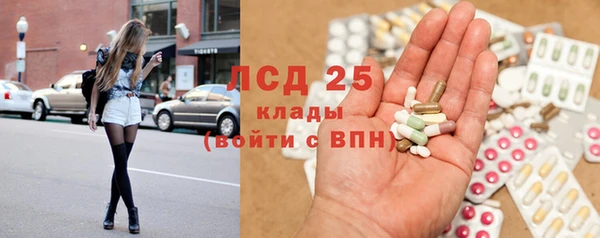 дживик Гусь-Хрустальный