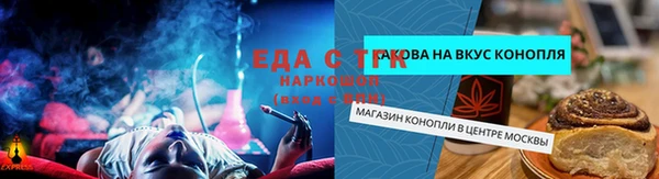 дживик Гусь-Хрустальный