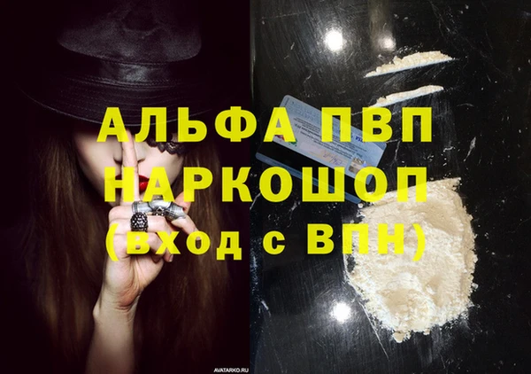 амф Горняк