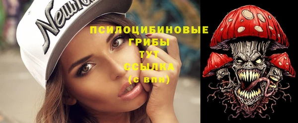 дживик Гусь-Хрустальный