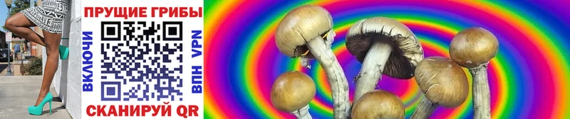 Купить где  Улан-Удэ  Псилоцибиновые грибы Magic Shrooms 